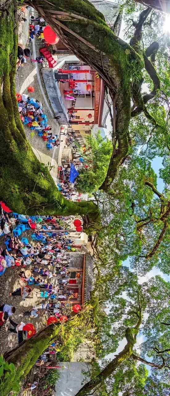 广东居然藏着一个神秘天坑,广东这座小镇藏着多少宝藏