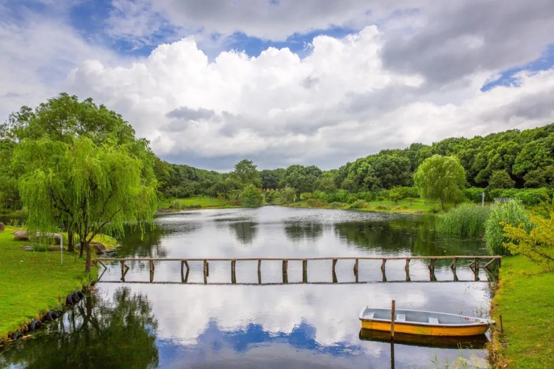 东方绿舟开放时间,东方绿舟重新开放消息