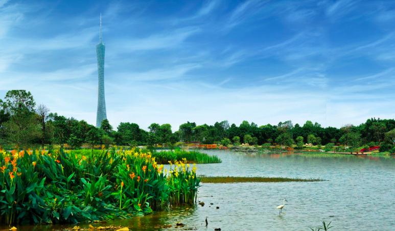 广州攻略必玩的景点2天,广州旅游必打卡的地方推荐