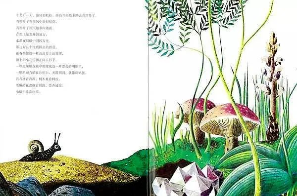 超级干货书单,超级干货视频识字