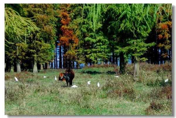 余姚四明湖开元山庄,余姚四明湖开元山庄自驾游