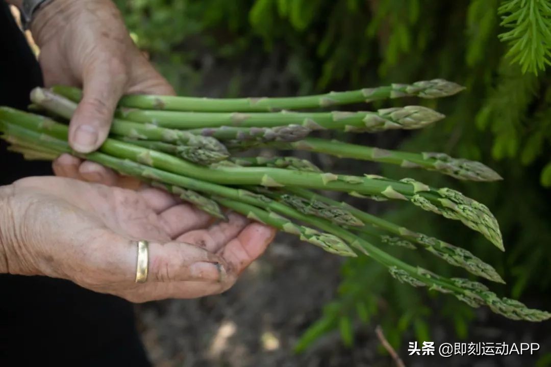 这才是芦笋最正确的做法营养健康,减肥食谱鸡肉卷芦笋