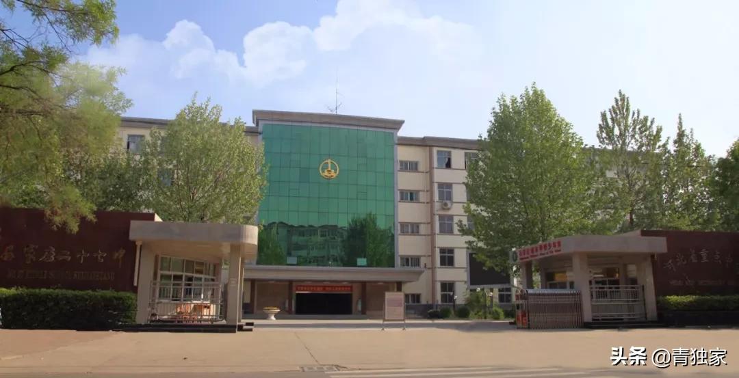 鐕庡師璁″垝浣滃搧灏忓,鐕庡師璁″垝