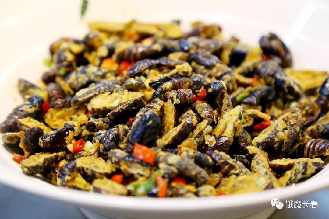 长春东北师范大学净月实验学校,长春东北师范大学青华校区