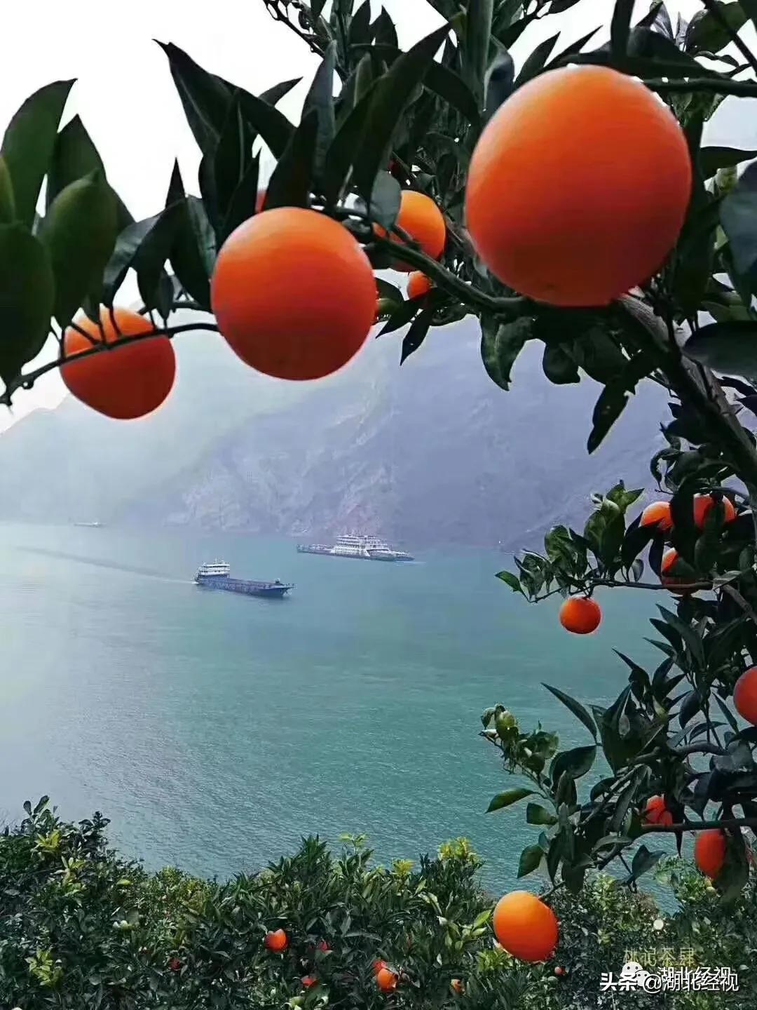 投入5000万！帮湖北“带货”，助武汉归队！武汉重启日，湖北经视携手10省市电视台，全天候全媒接力大联播