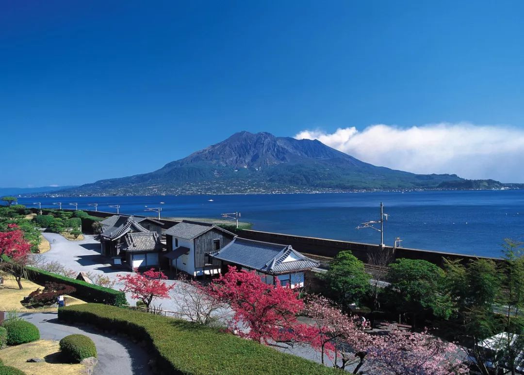 房地产开发各环节税收政策汇集,房地产开发企业税收与实务大全