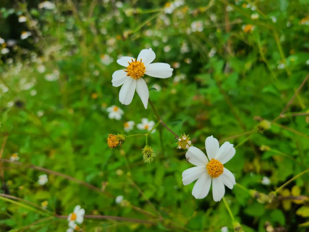 海南旅游纪实,海南旅游记录视频