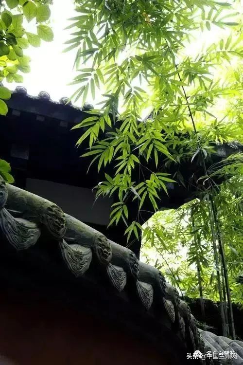 兰州到重庆绿巨人,兰州至上海绿巨人