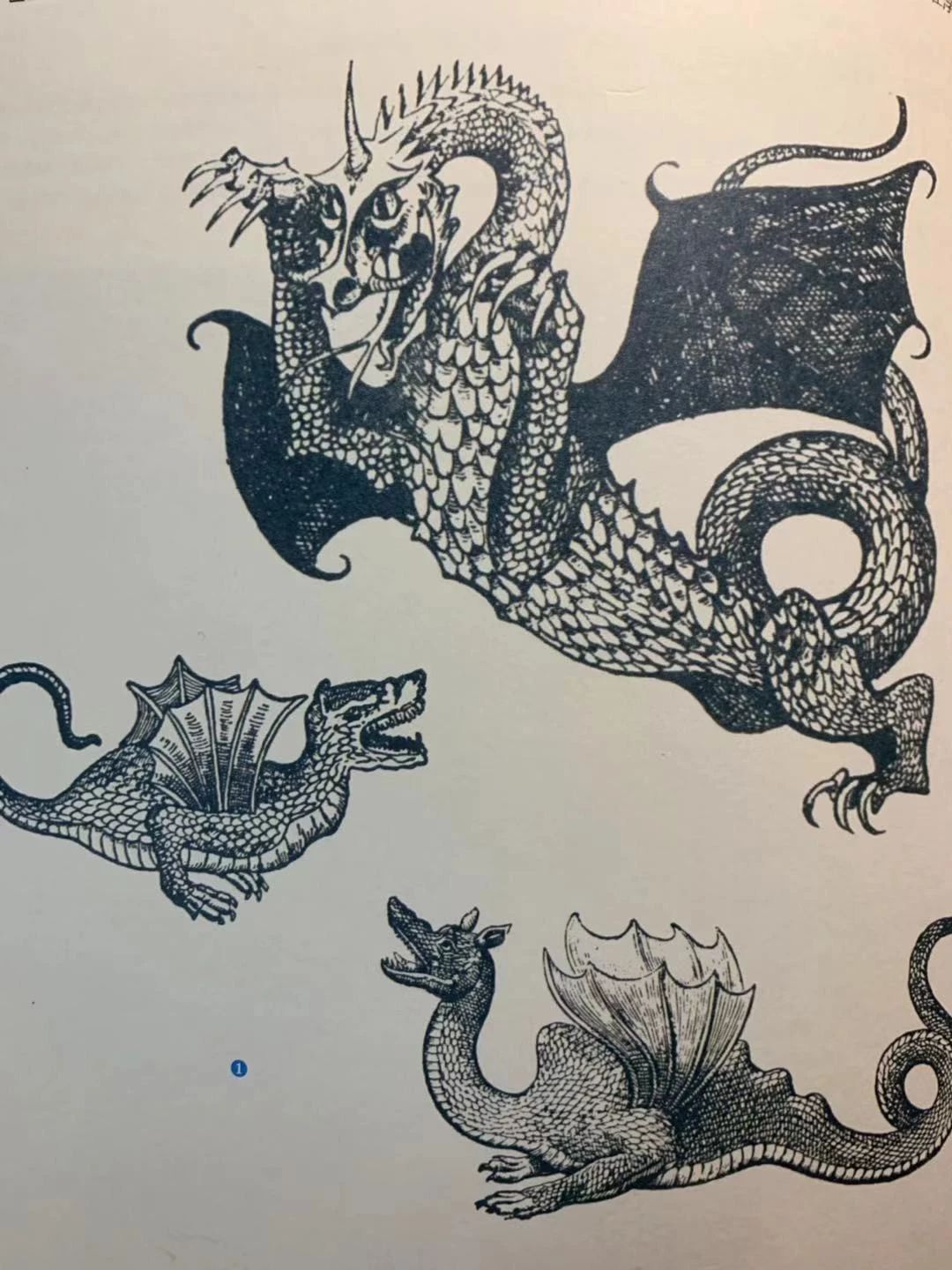 蝙蝠和吸血鬼的渊源,蝙蝠是怎么传播病毒