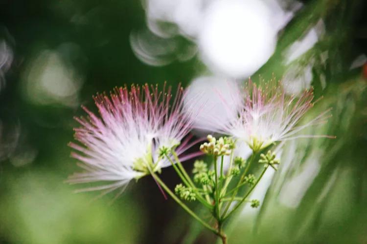 单反快速入门索尼,单反自动挡是哪个