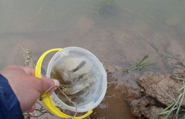 鱼不咬钩并不怕，只要记住这几条，变被动为主动