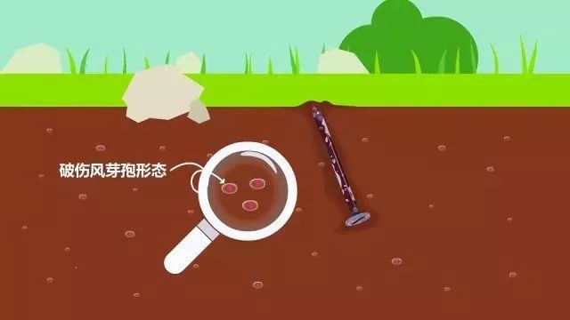 怎么才能知道自己有破伤风,破伤风那些事微视频