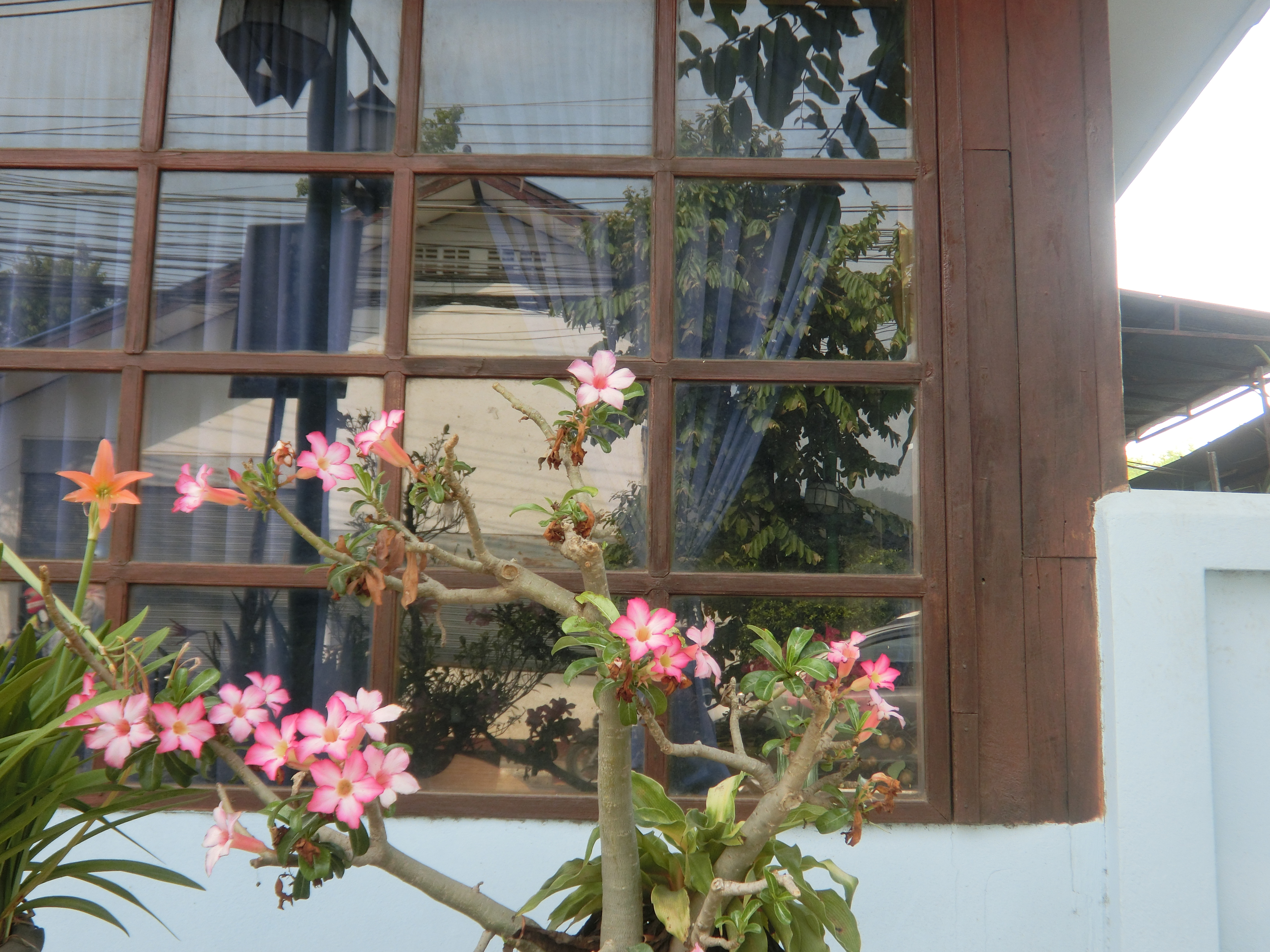 泰国清迈一座古都的历史,泰国清迈旅游攻略大全