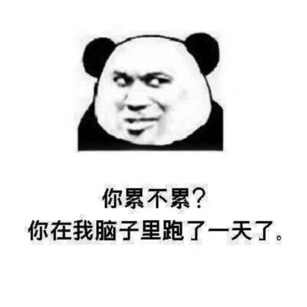 脱单土味情话100句,我要脱单了的土味情话