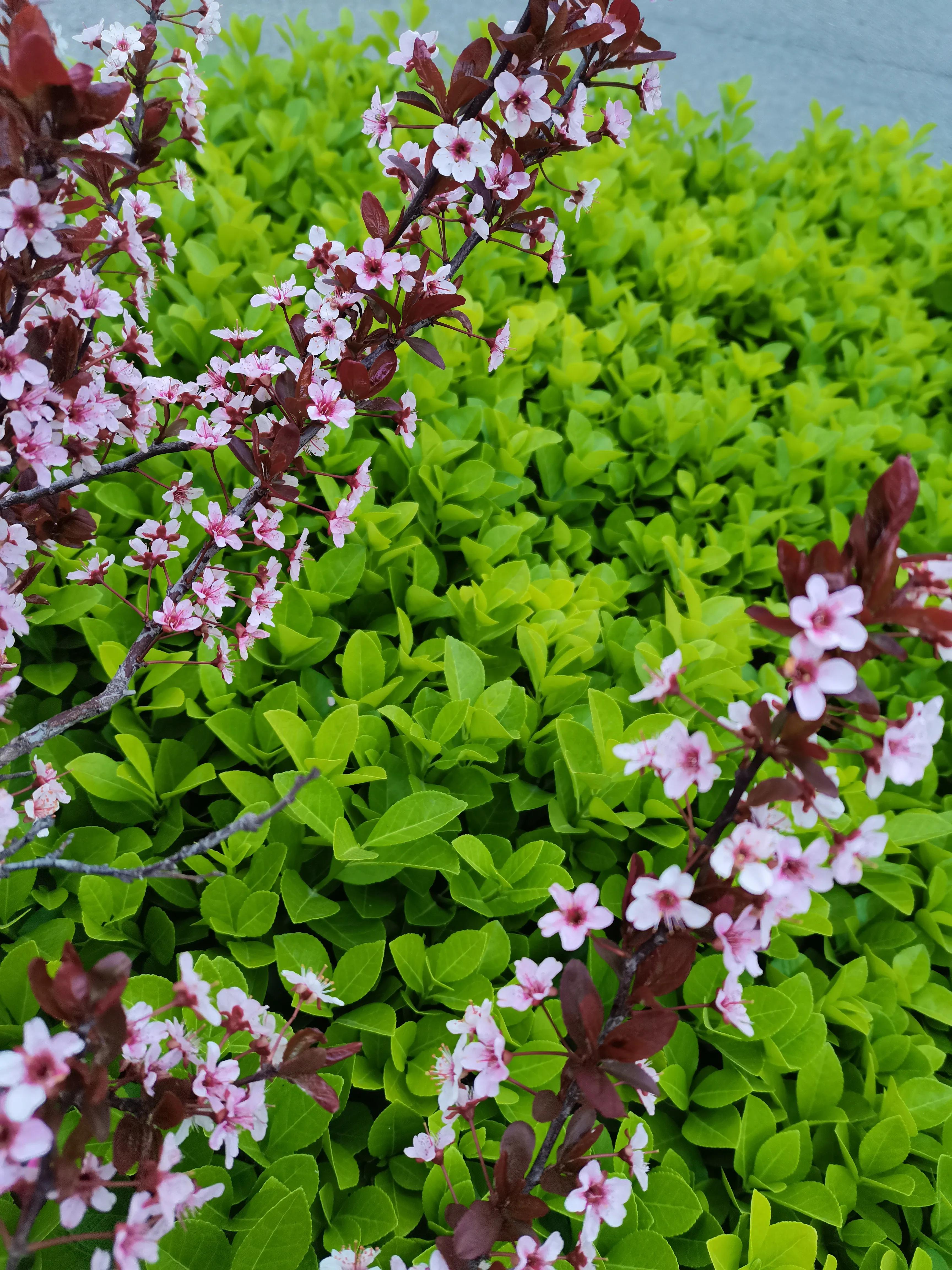 不要放弃农村的宅基地,不要放弃农村自己的宅基地