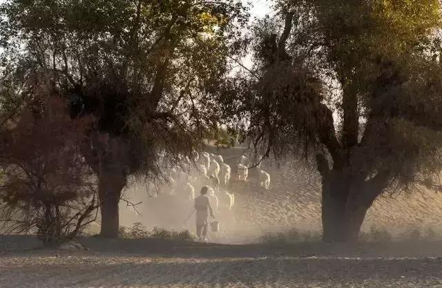 新疆于田沙漠无人区,新疆于田沙漠最后村庄