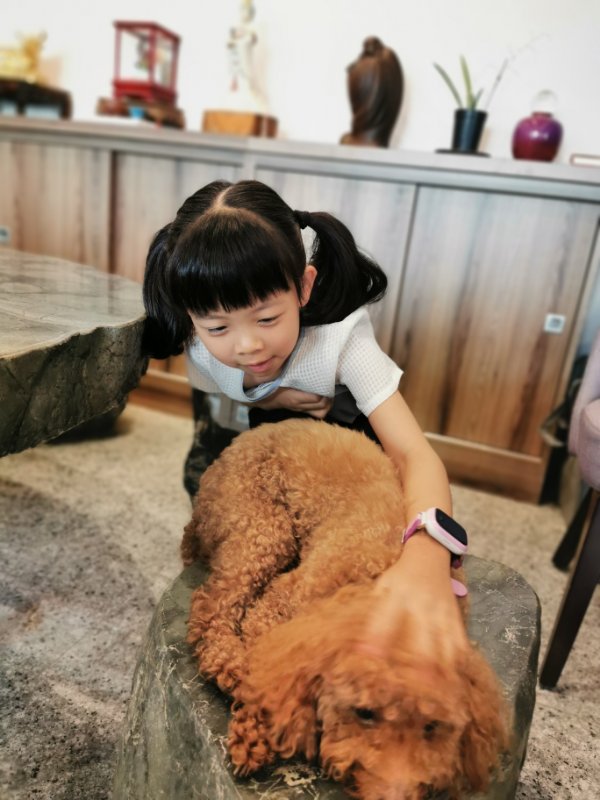 深圳到厦门三日游最佳攻略,深圳至广西桂林三日游