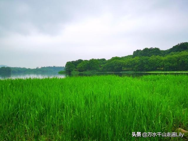 杭州不为人知的世外桃源,杭州幽静的去处