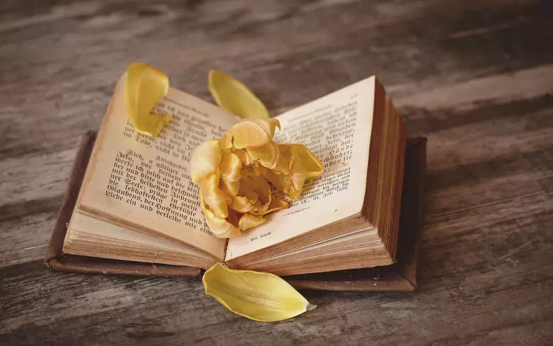 男女间需要满足哪些情感需求,男性和女性对于婚姻的需求不一样