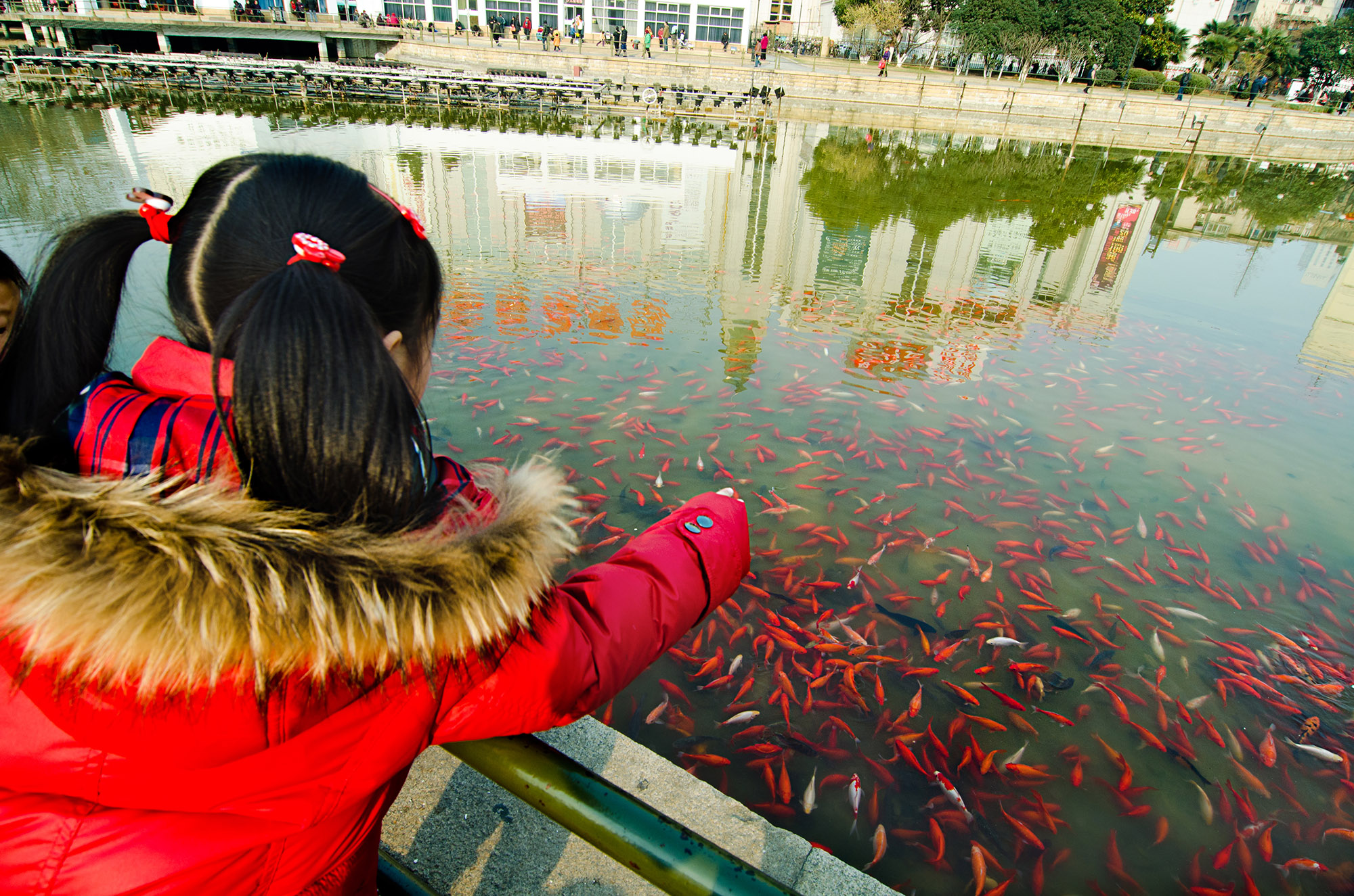 尼康d7000和手机拍照哪个清晰,尼康相机推荐新手入门d7000