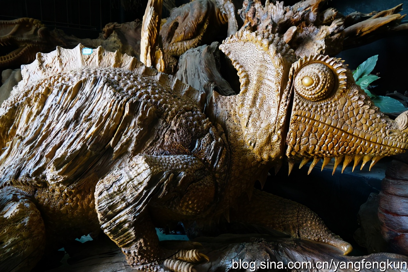 世界上最大的蜗牛介绍,全世界最大的蜗牛