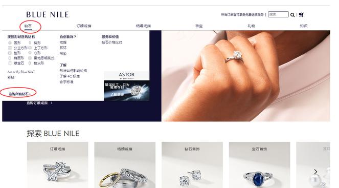 bluenile官网是什么,blueskies攻略