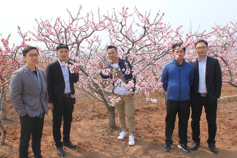 枣庄峄城仙人洞桃花节,峄城仙人洞桃花节直播