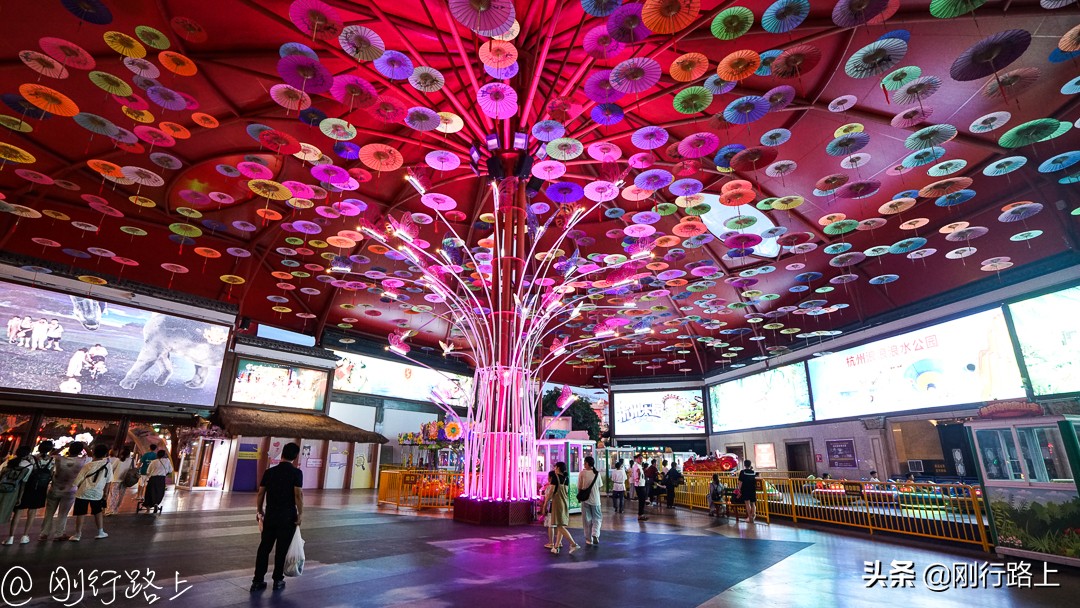 这个夏日尽情的嗨起来,这个夏天尽情玩耍