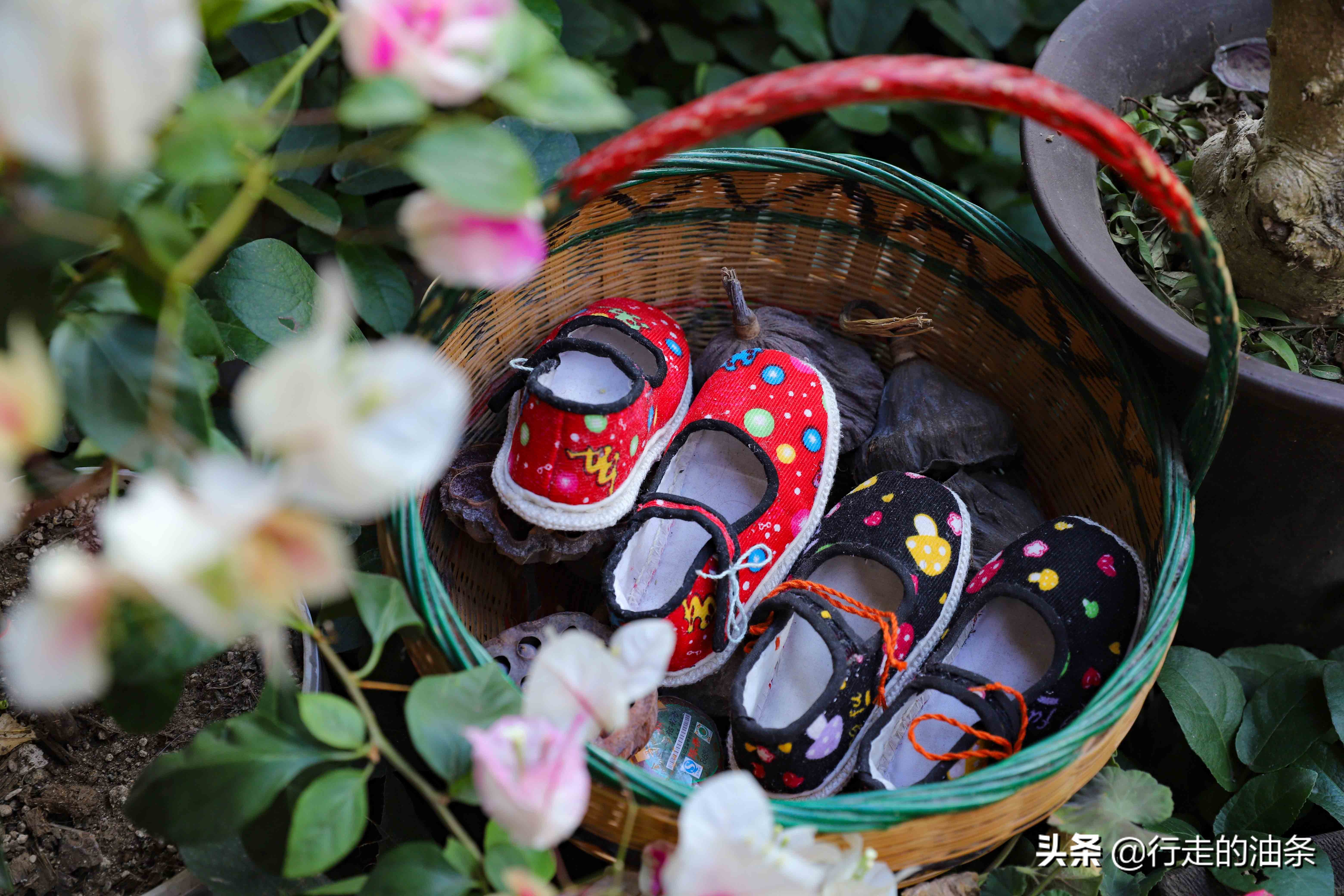 三峡大坝屈原故里视频,屈原的故里三峡大坝