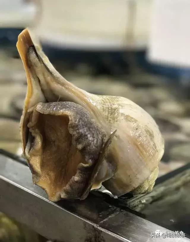 水煮贝壳类海鲜煮多久,海边海鲜用什么水煮好吃