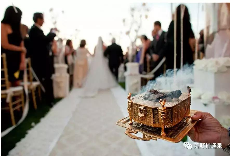 改变世界的植物,改变世界历史的植物