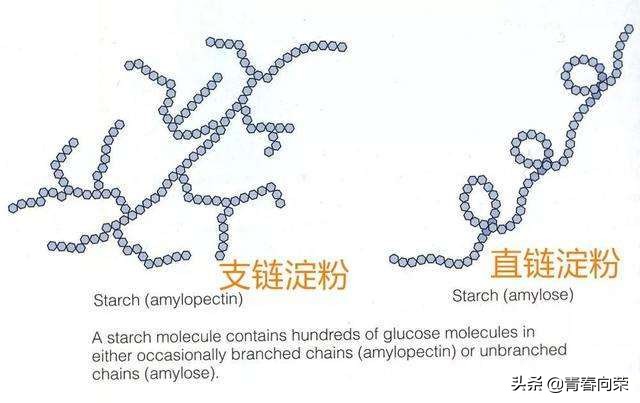 央视降糖电饭煲测评,脱糖电饭煲真的好用吗