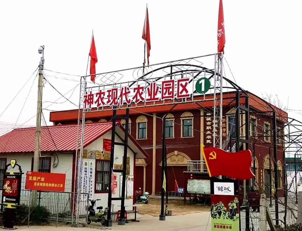 韩城旅游小吃攻略大全图,陕西韩城旅游必买物品