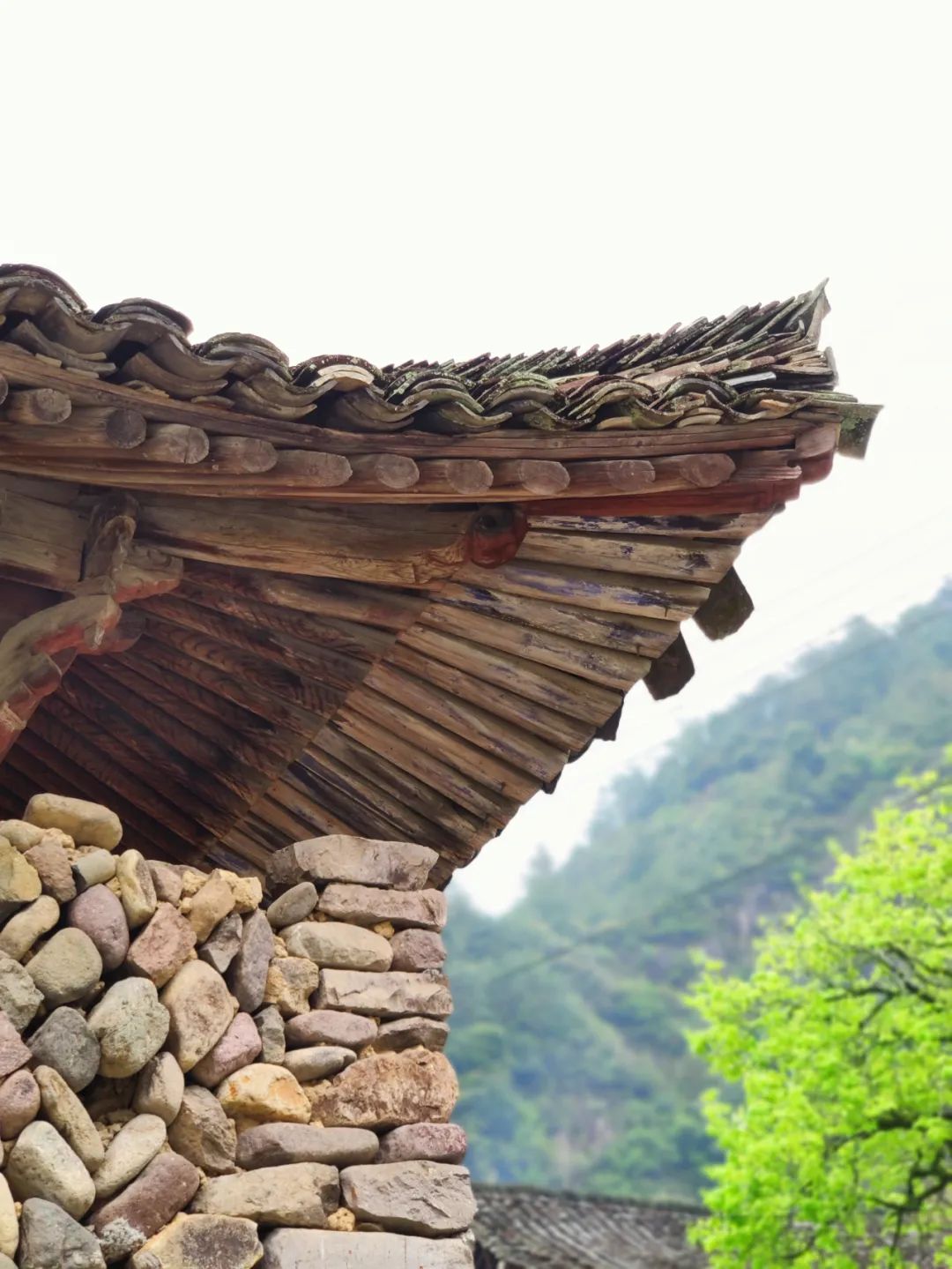 探访悬崖峭壁,大峡谷绝壁长廊
