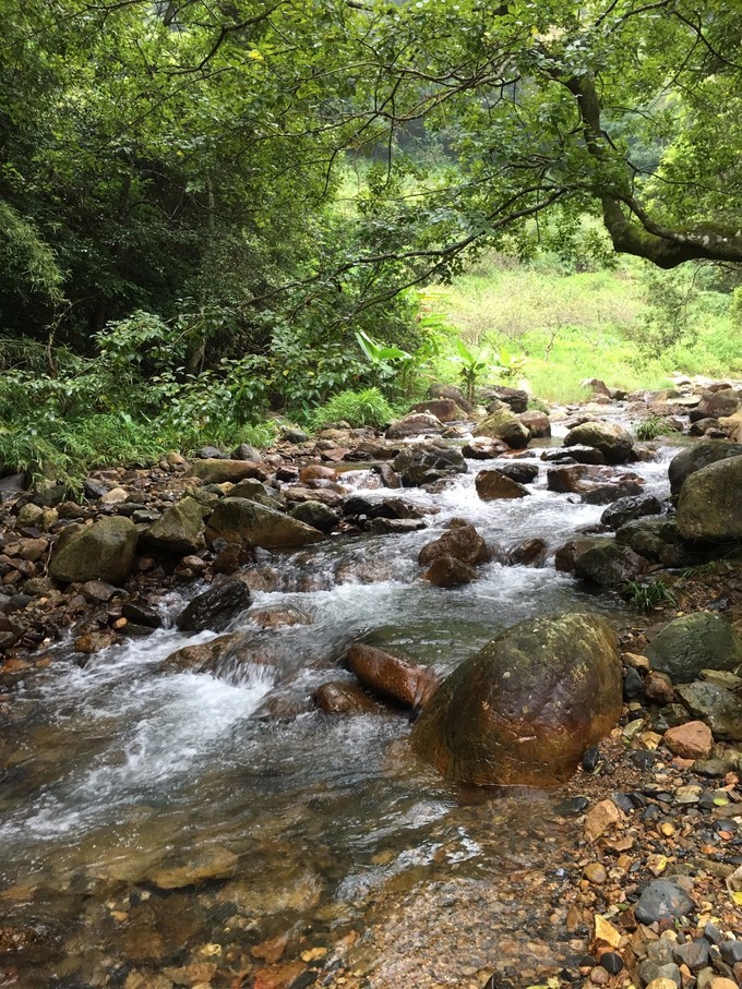 广州从化溪头村一日游出游攻略,从化溪头村自驾游攻略视频
