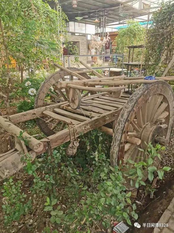 「儿童散学归来早,忙趁东风放纸鸢」小园笔记(十二)