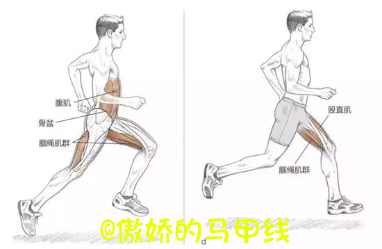 跑步送髋的正确方法与技巧图片,跑步送髋最简单的方法