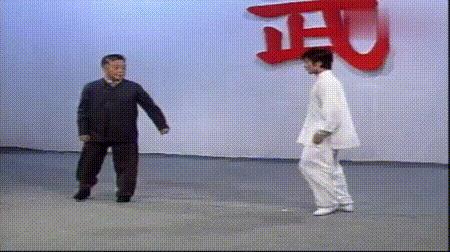 螳螂拳的实战杀法,最猛螳螂拳全套慢动作教学