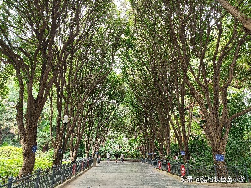 柳州柳侯公园有几个项目,柳州柳侯公园属于哪个区