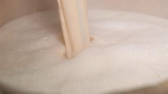 绵阳鱼探花烤鱼,绵阳豆花烤鱼