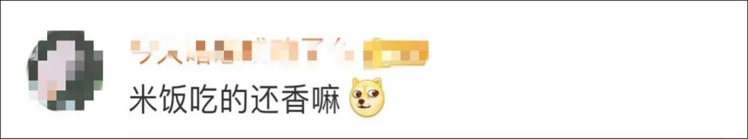 “煮了几天饭后,我在米缸里挖到了猫屎...”