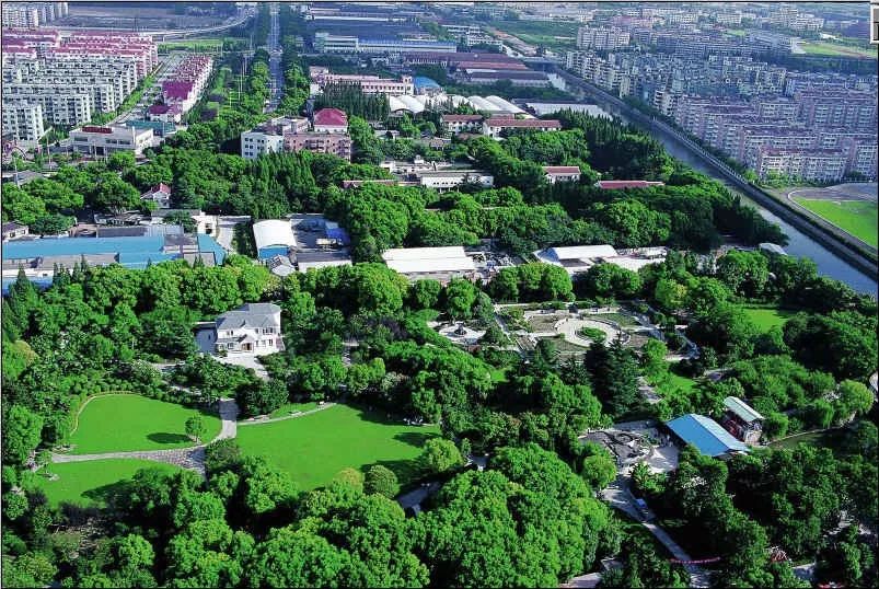 上海可以一路玩下来的地铁线,上海最新41条地铁