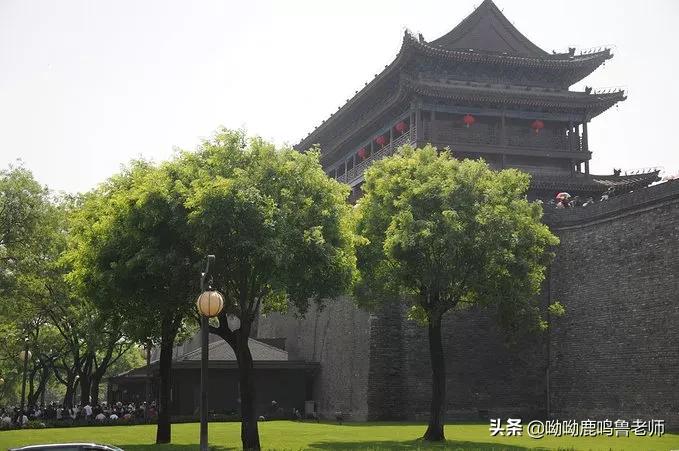 鲁勇丽,鲁勇丽中科大青岛