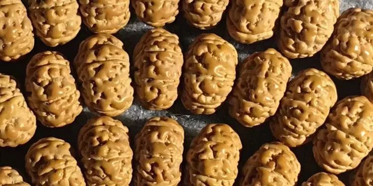 小金刚菩提梅花纹路什么价位,小金刚菩提什么纹路的最好