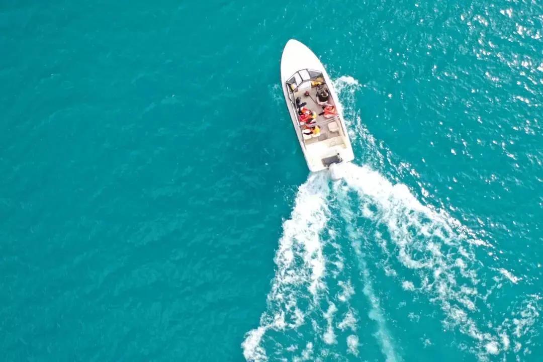 终于攒够了年假,年假怎么攒