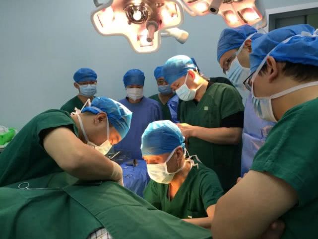 猫咪皮肤瘙痒症状,猫咪偶尔挠痒正常吗