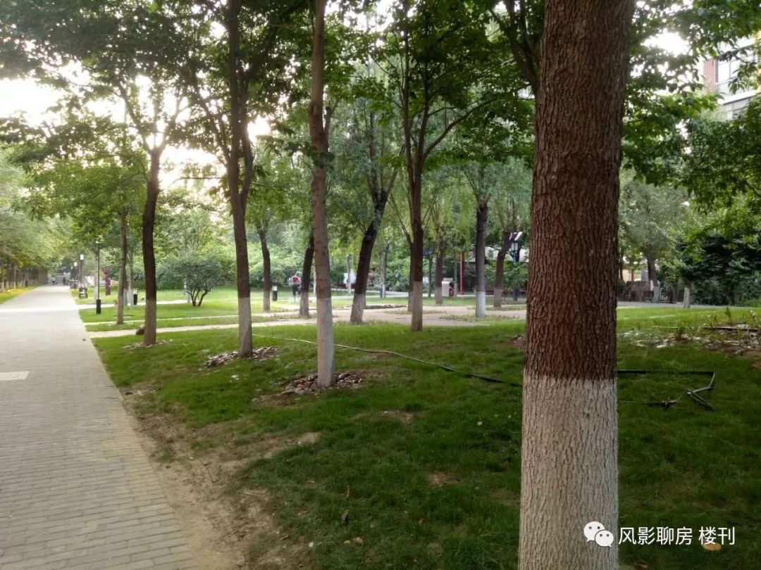 国奥村的楼盘的档次,国奥村二期最新房价