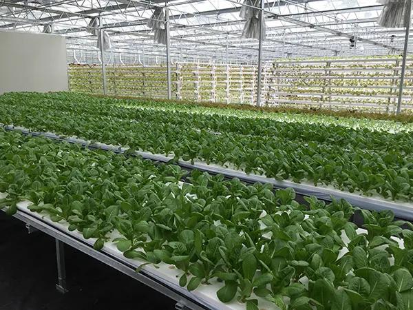 长三角城市群最佳旅游线路,长三角示范区旅游详细攻略