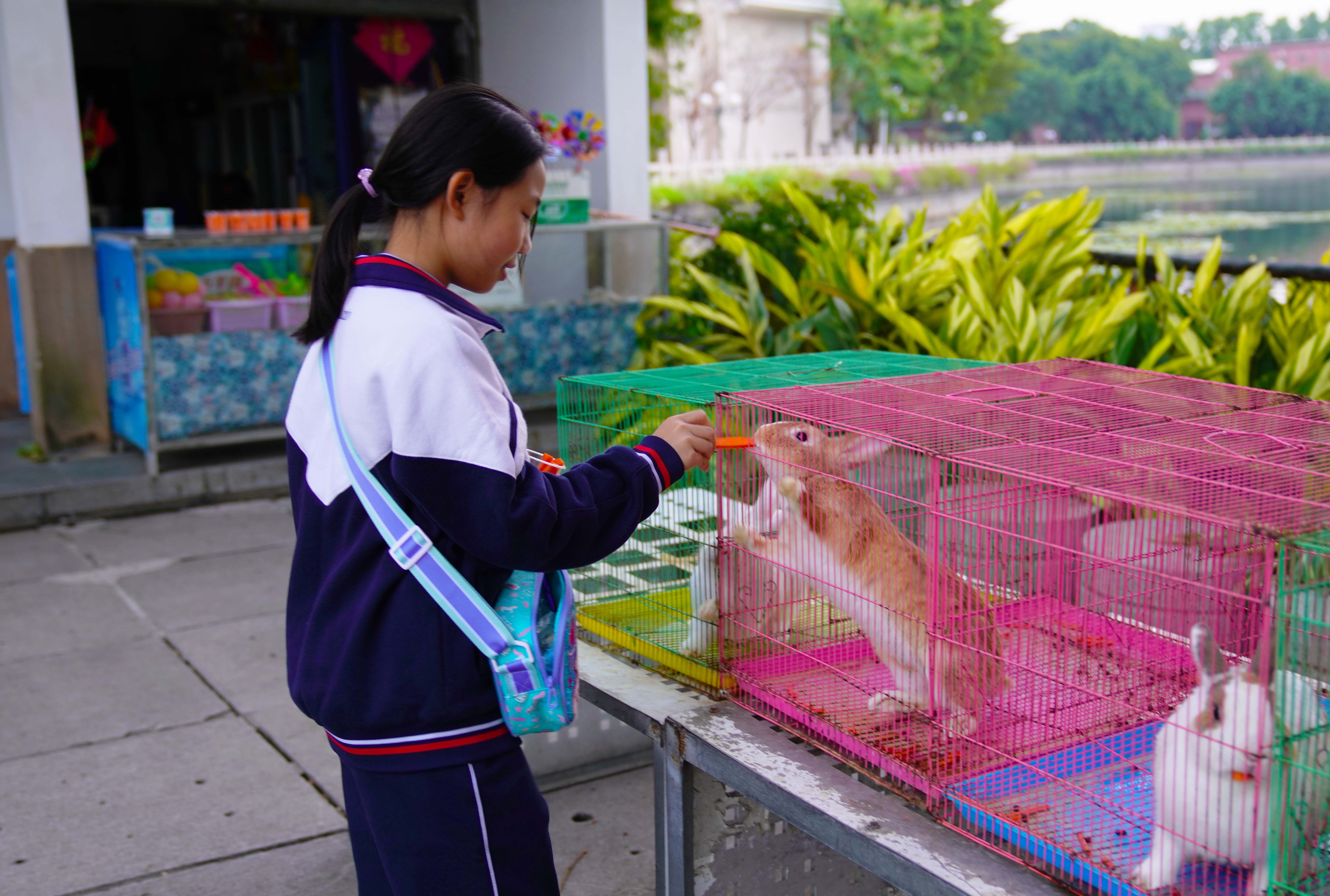 皓影郊游,海洋湖泊周末约会