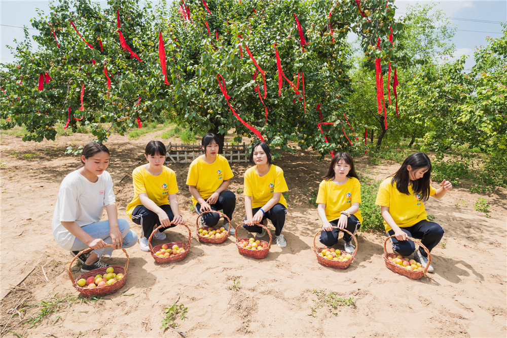 直播“云游”河北古县！连办29年红杏商务节点将巨鹿“四大美景”